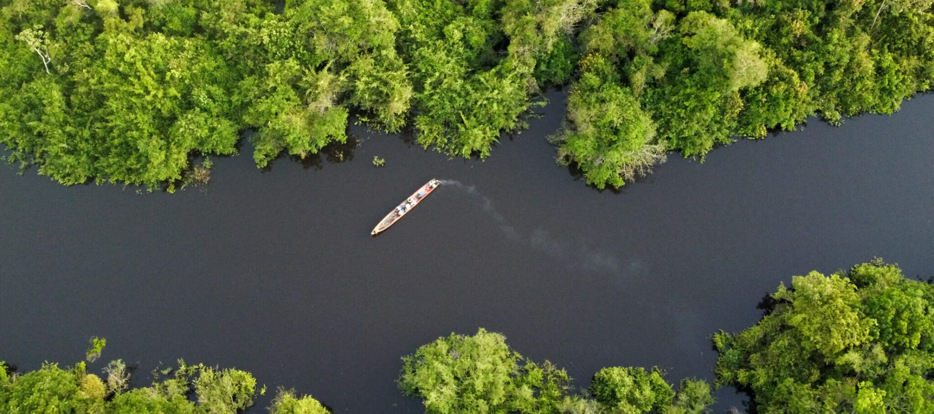 5 jours en amazonie bolivienne