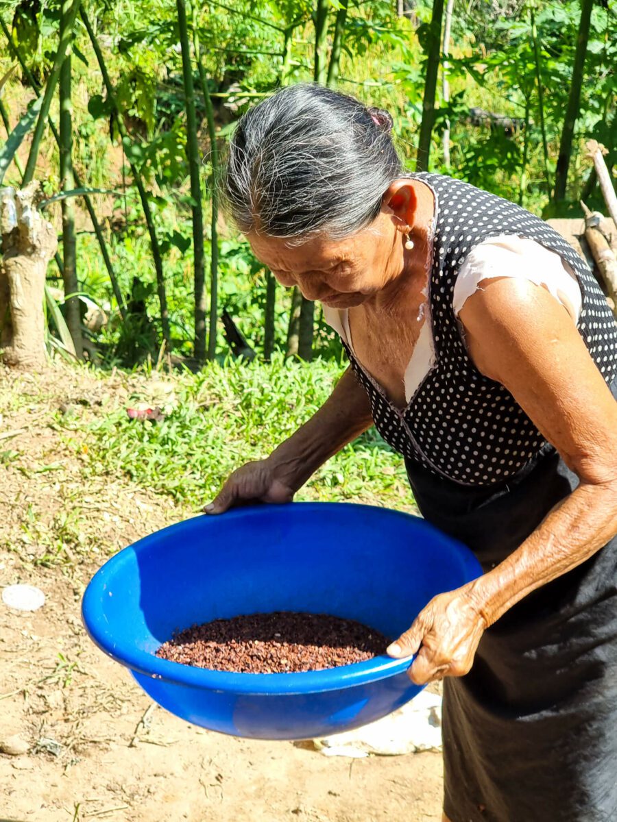 fabrication de chocolat en bolivie