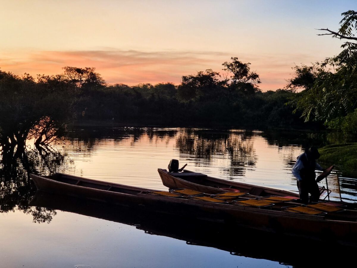 pampa amazonie bolivienne