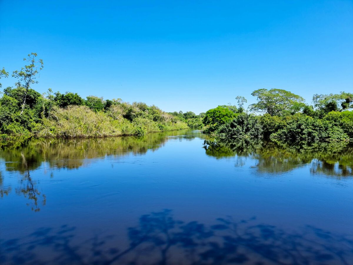 pampa amazonie bolivienne