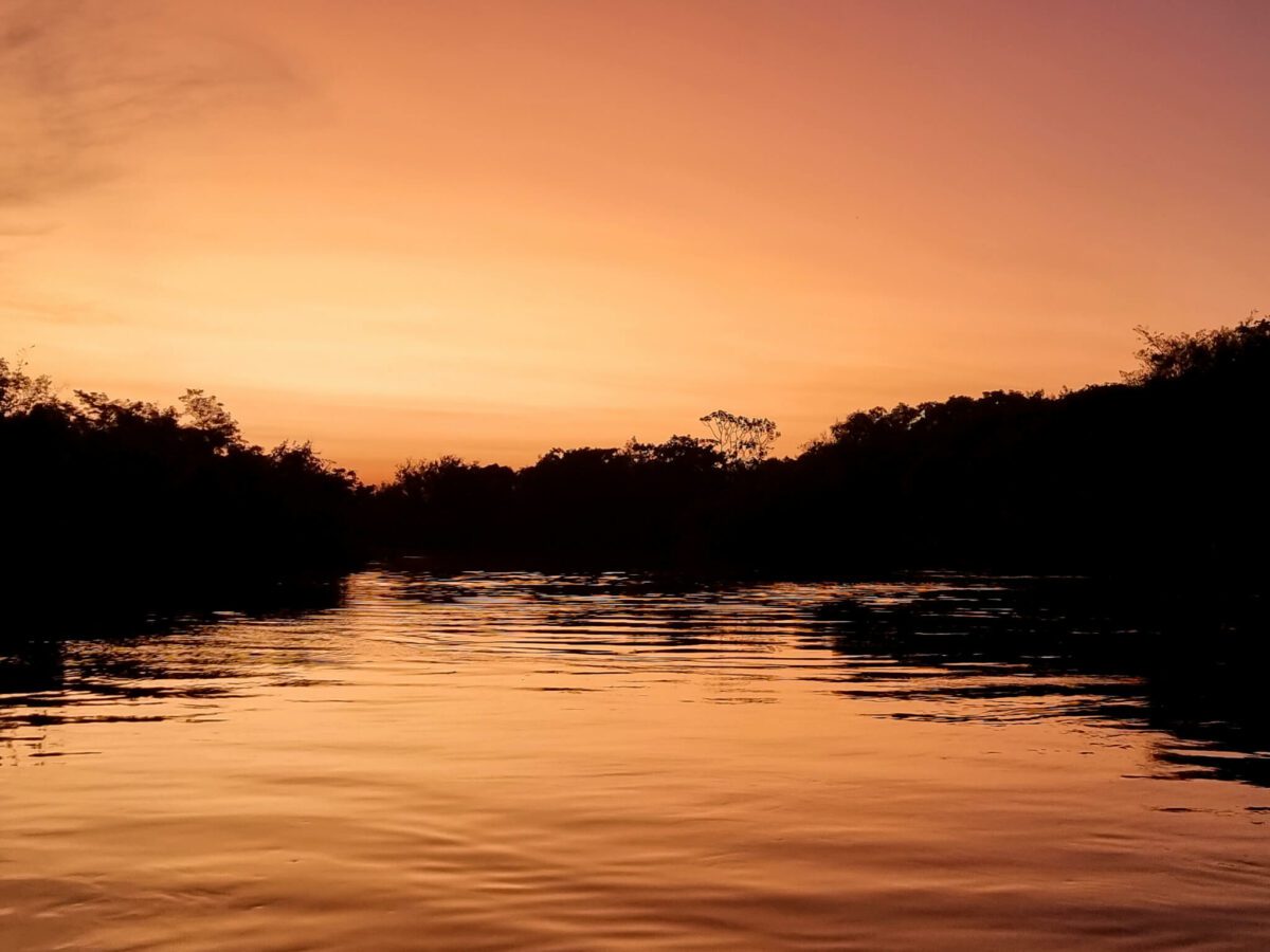 5 jours en amazonie bolivienne