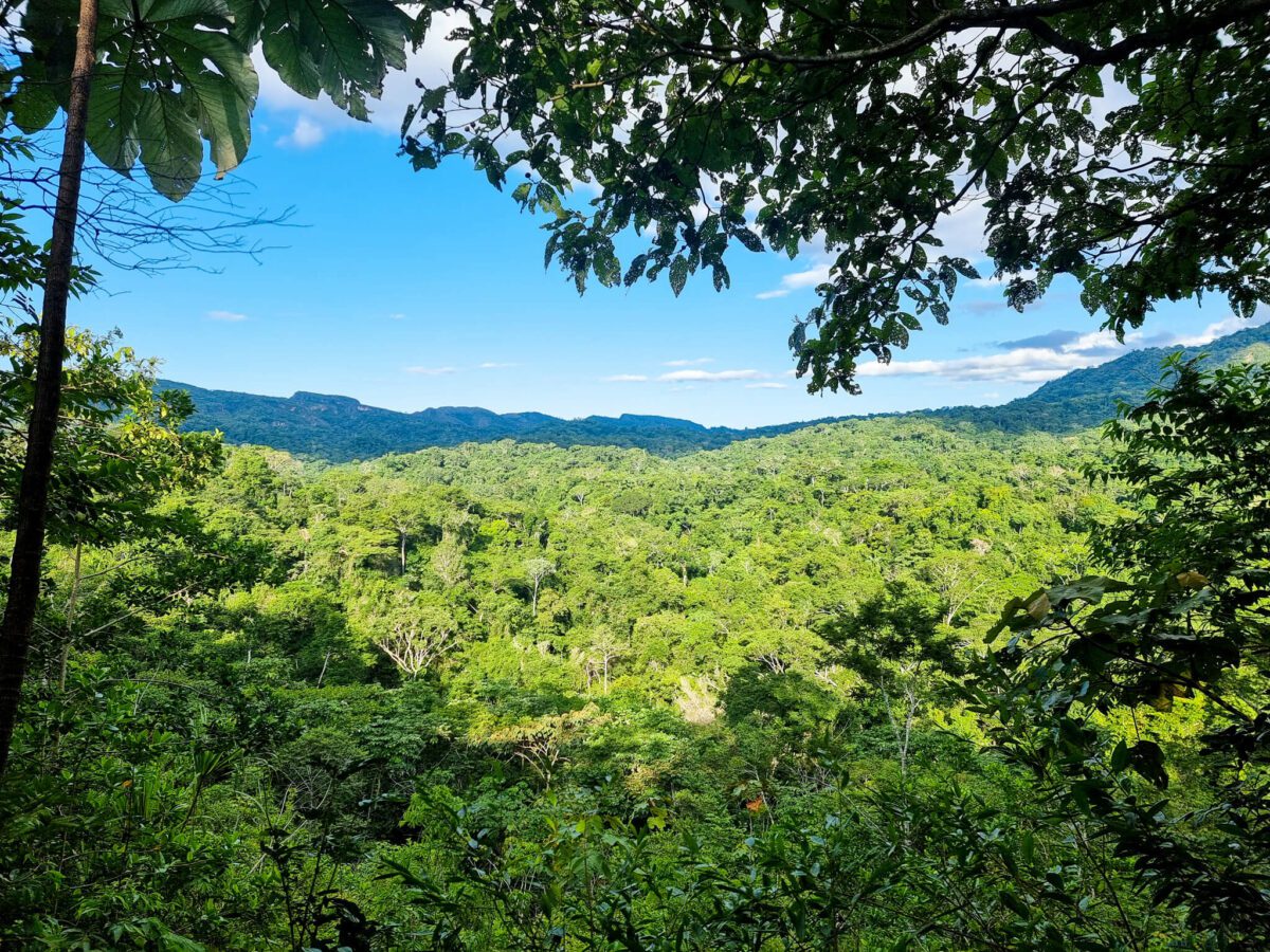 selva amazonie bolivienne
