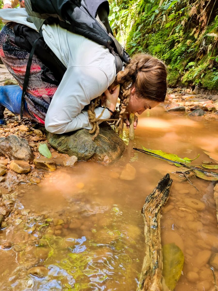 activité amazonie