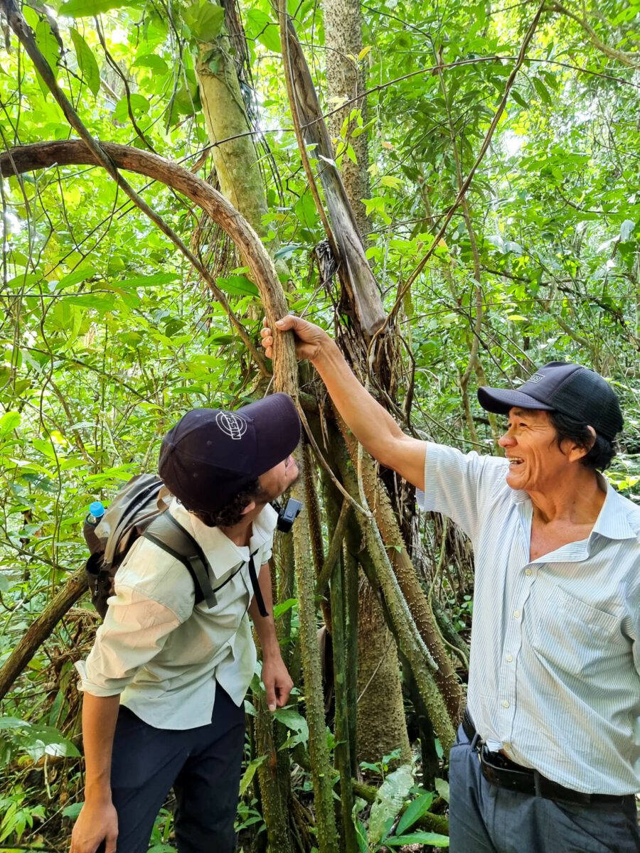 selva amazonie bolivienne