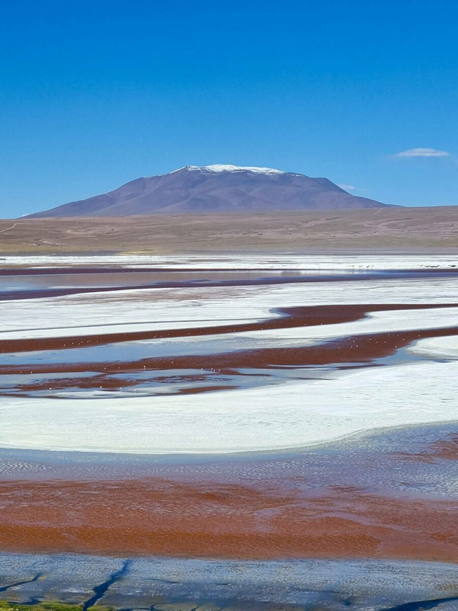 laguna colorada sud de lipez