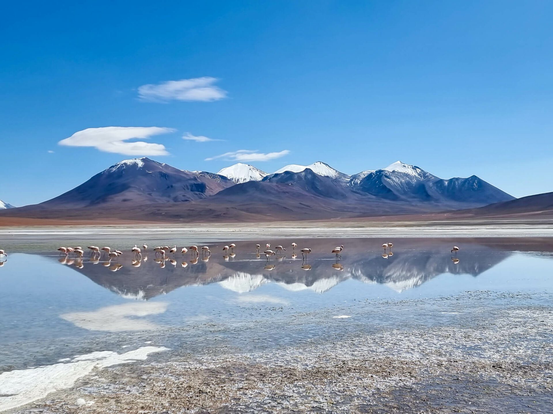 laguna cachi sud de lipez