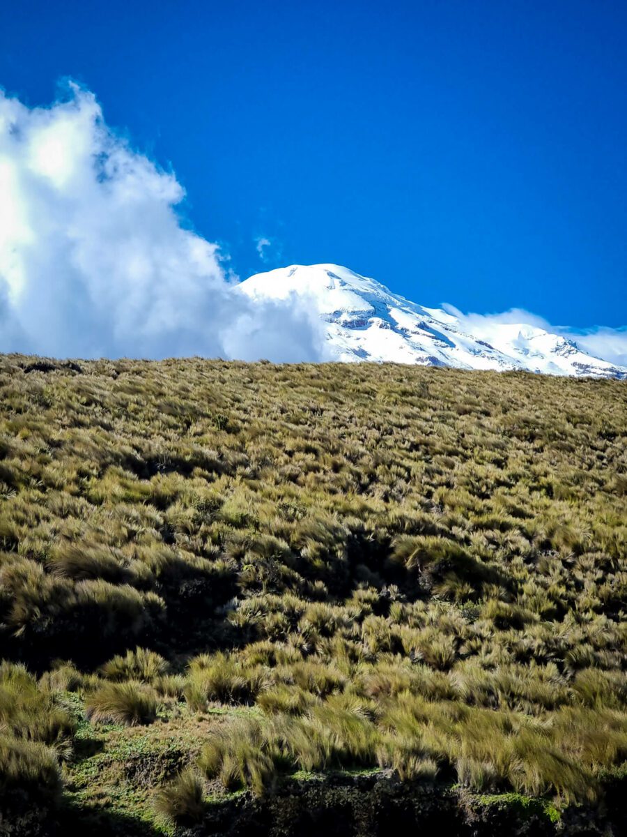 volcan chimborazo equateur