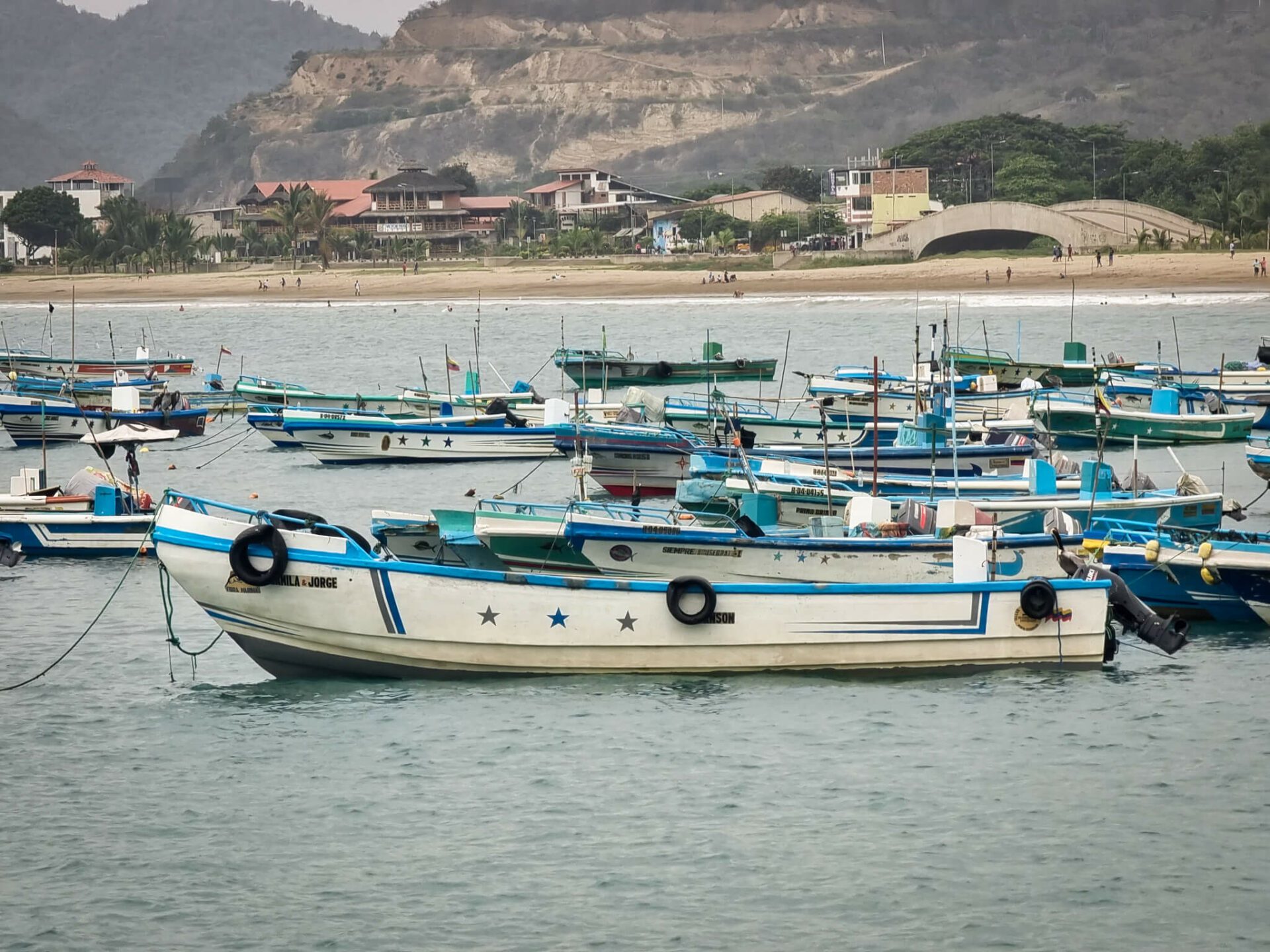 voir des baleines en equateur