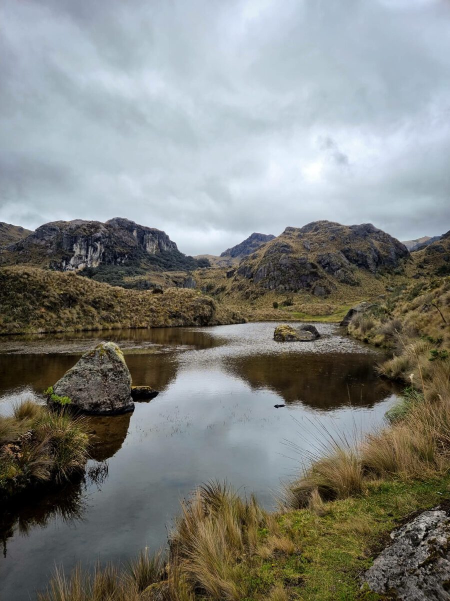 parc national cajas equateur