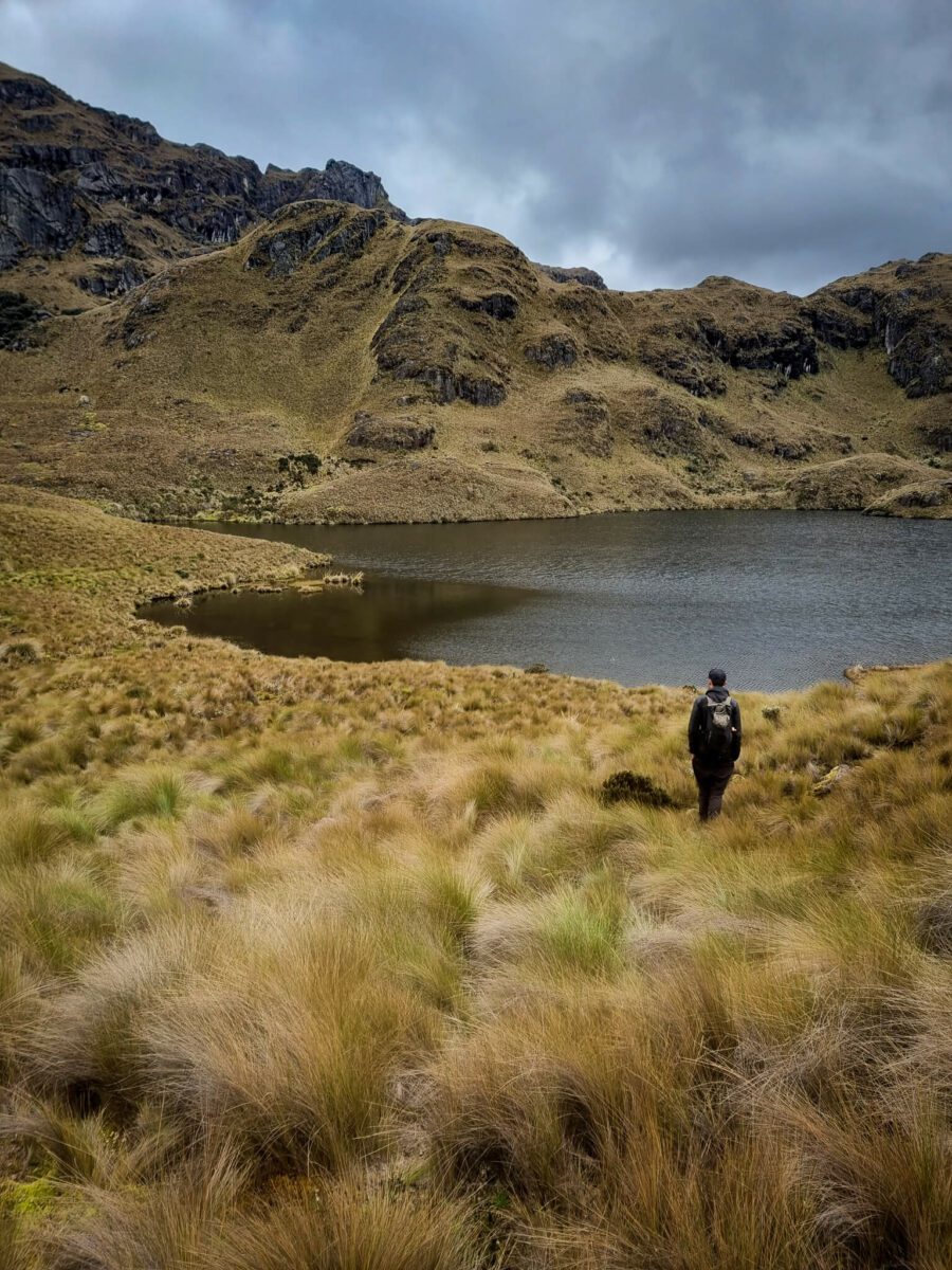 visiter le parc national cajas en une journée