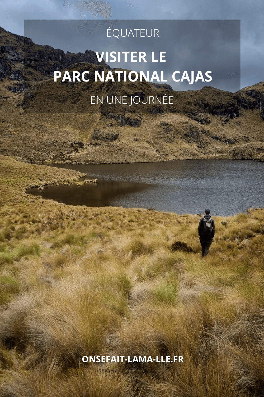 parc national cajas equateur