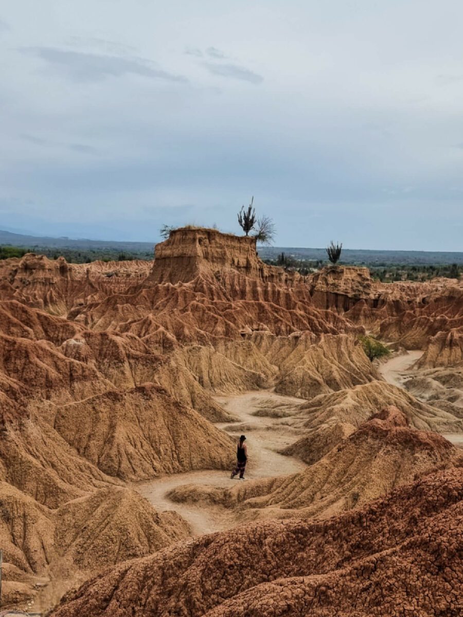 où manger dans le désert de la tatacoa
