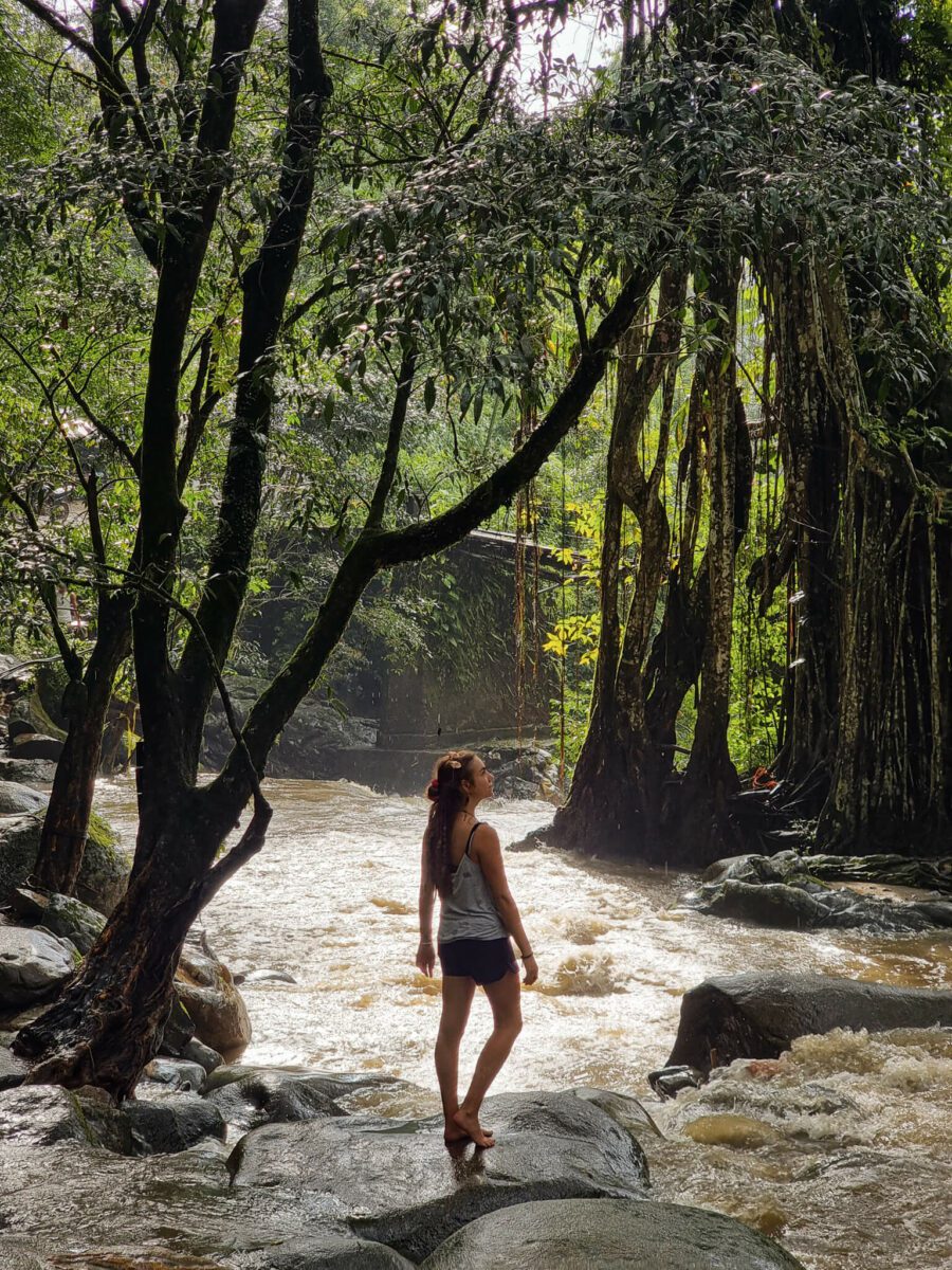 que faire à minca en colombie
