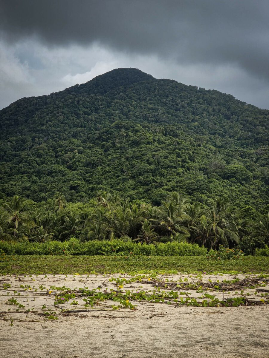 parc tayrona côte caraïbe en colombie