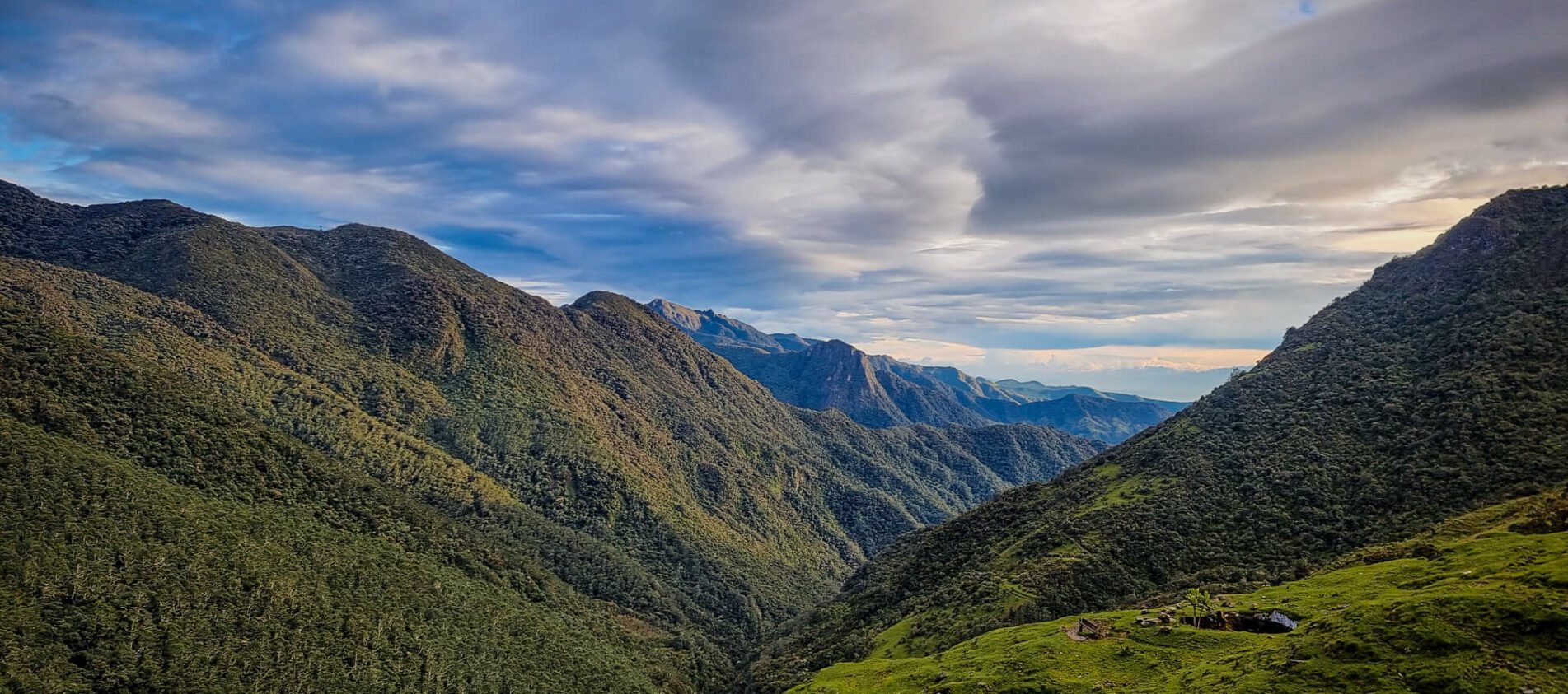découvrir la région du café en colombie