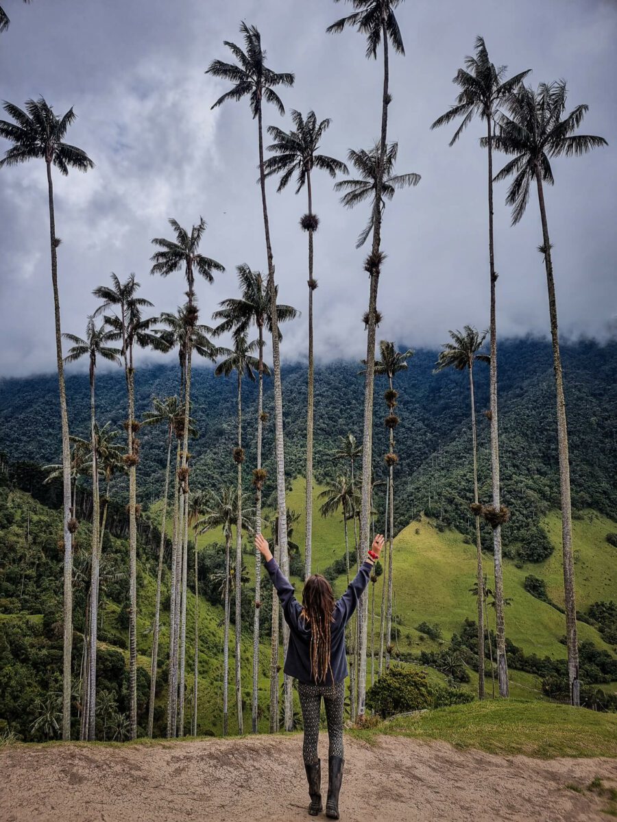 comment visiter la vallée de cocora