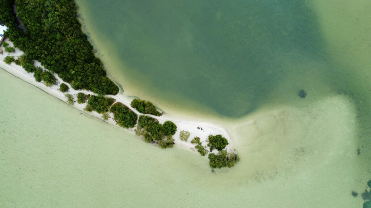 visiter holbox au mexique