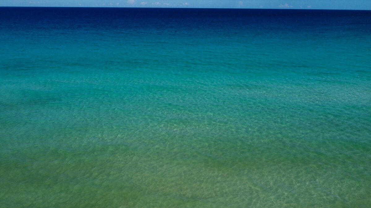 playa delfines a cancun