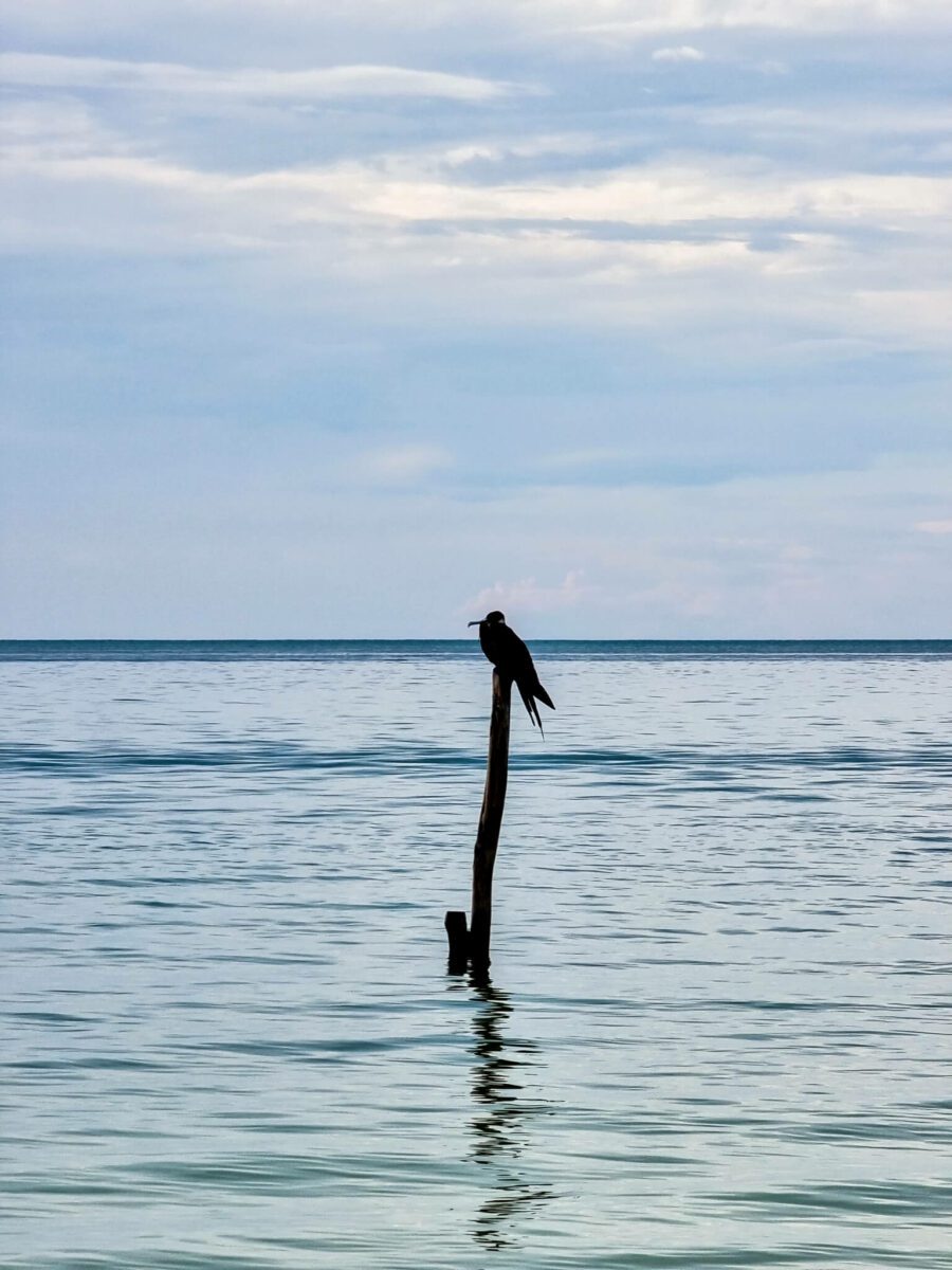 holbox au mexique