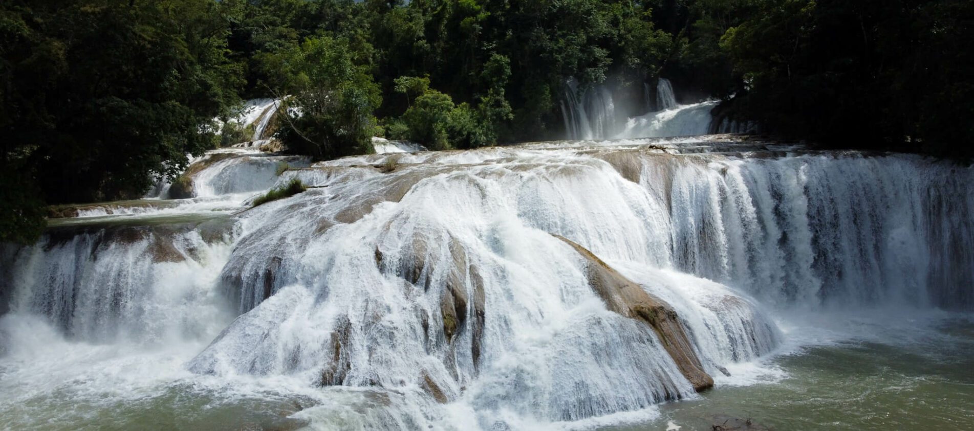 visiter palenque
