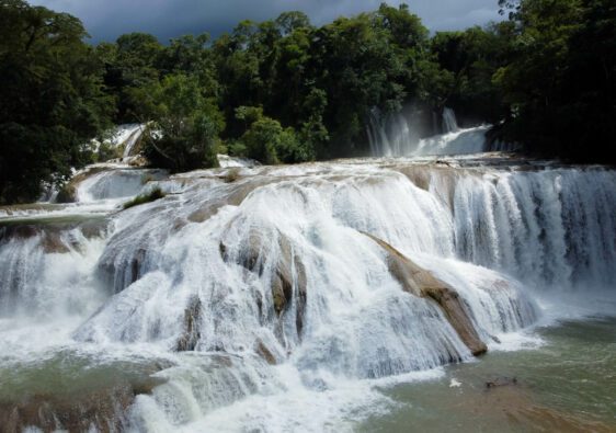 visiter palenque