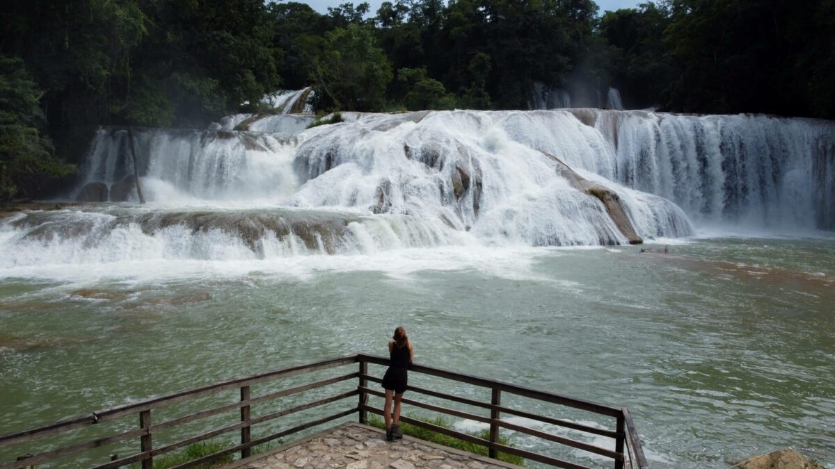 cascade agua azul mexique