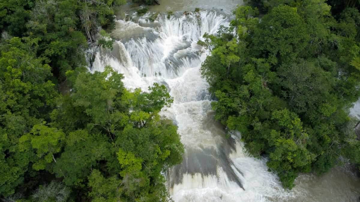visiter Palenque