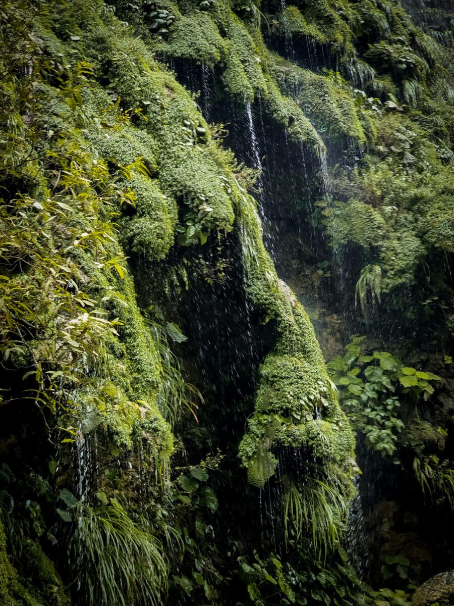 canyon du sumidero