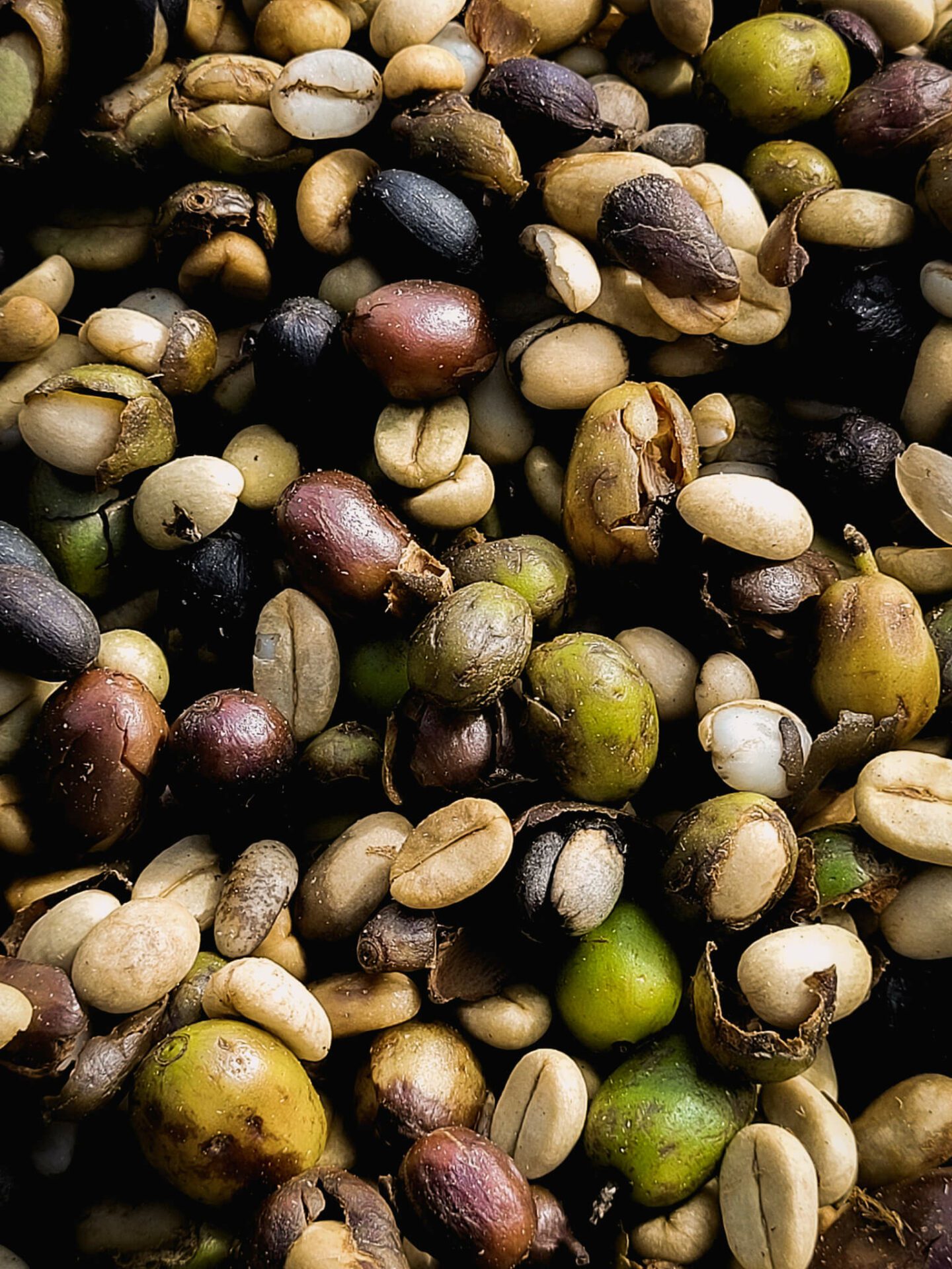 café salvadorien