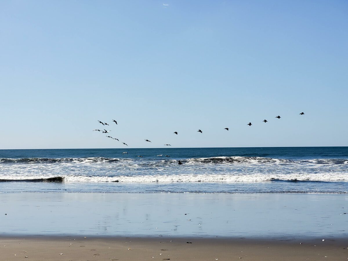 surf au nicaragua