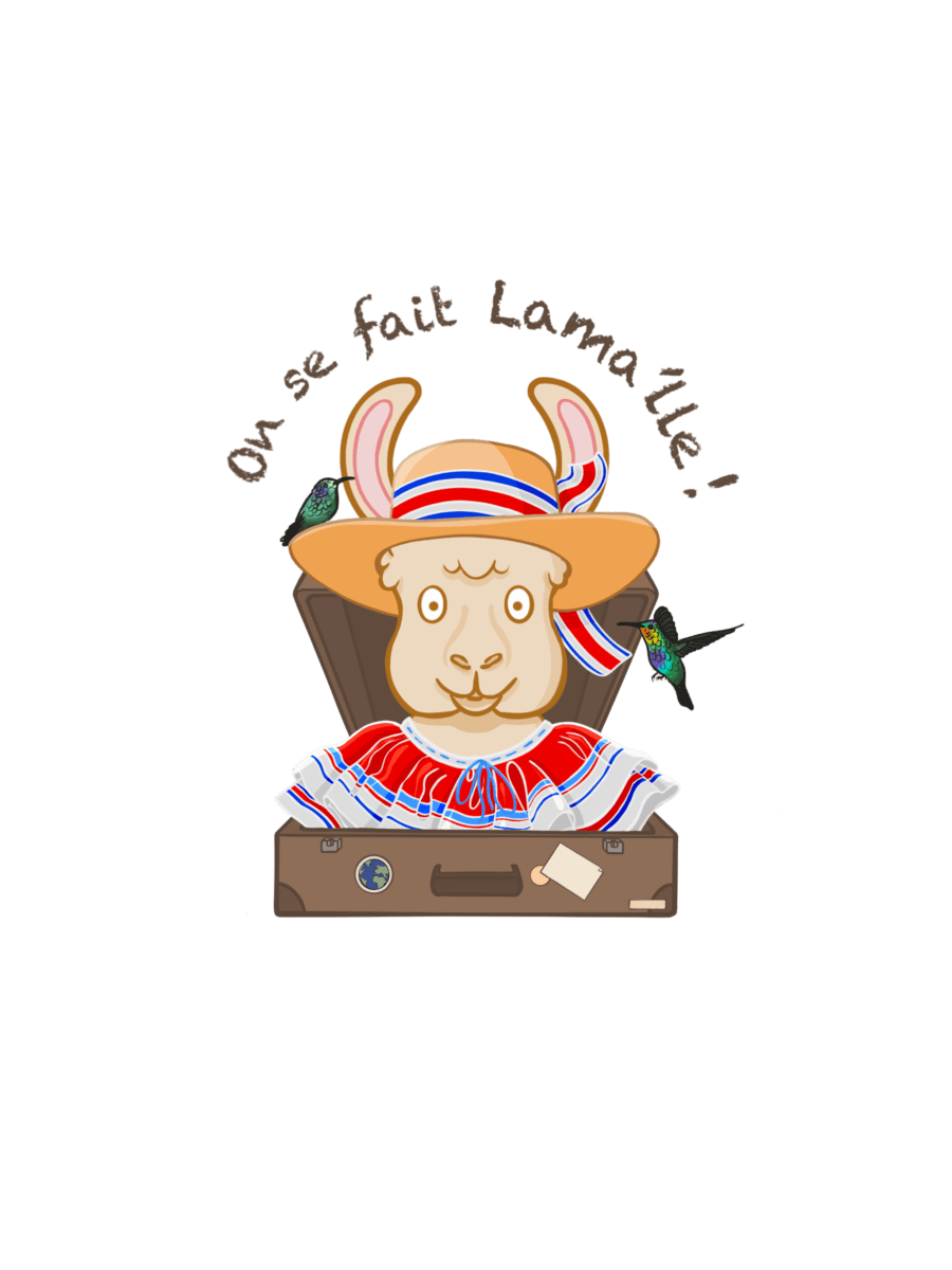logo costa rica onsefaitlamalle