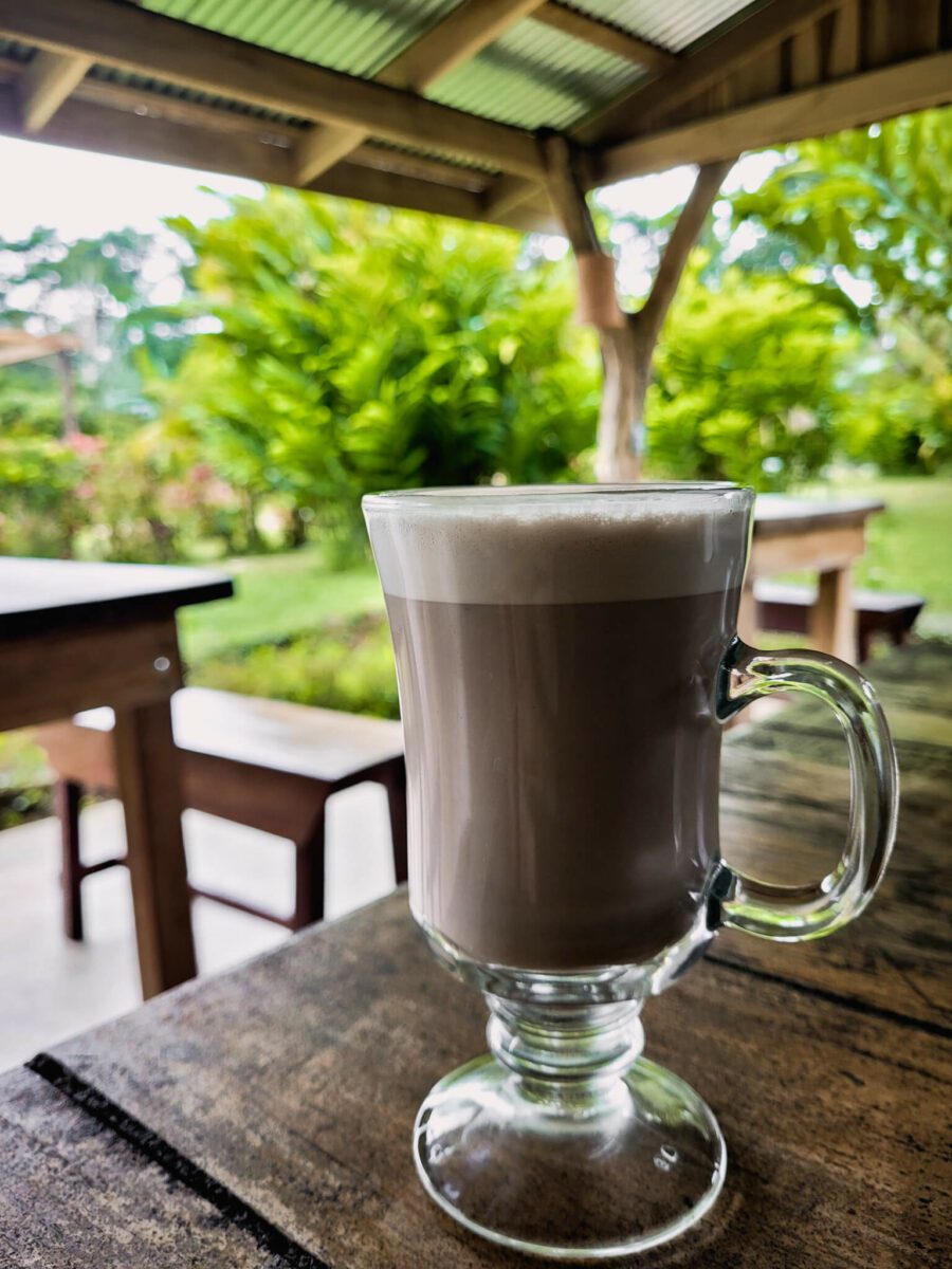 visiter une finca de cacao