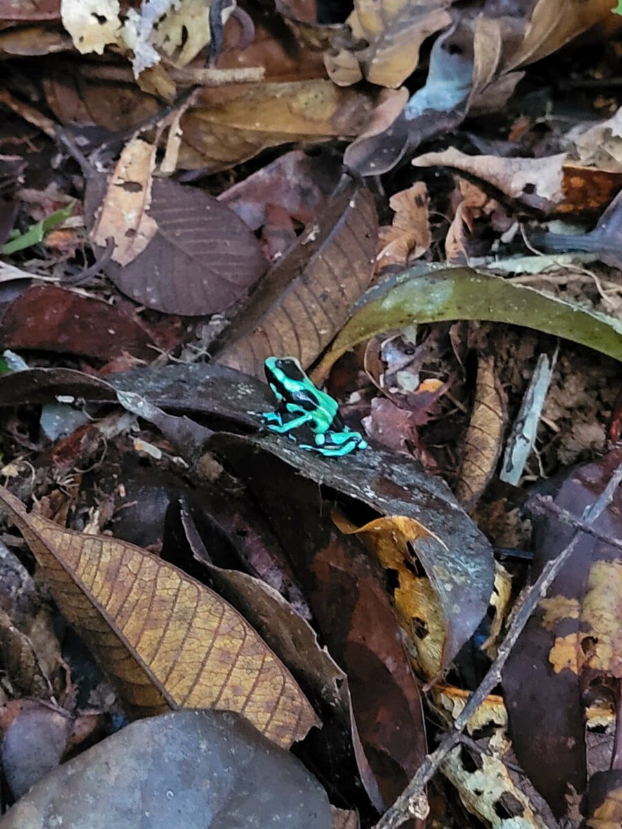 hors des sentiers battus costa rica