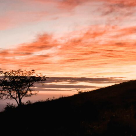 Visiter l’île d’Ometepe au Nicaragua : 5 activités à ne pas manquer