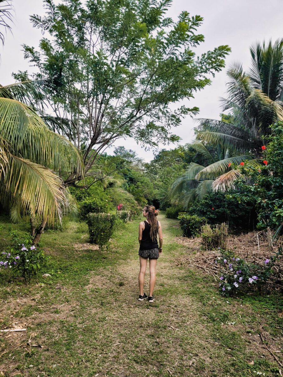 visiter l'île d'ometepe au nicaragua