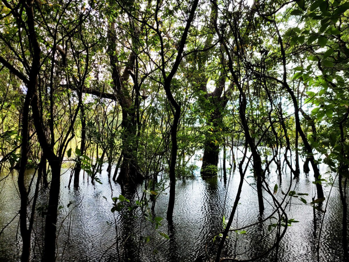 visiter l'île d'ometepe au nicaragua