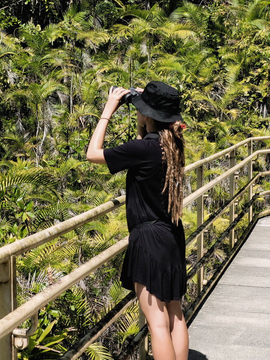 est-ce que le parc manuel antonio vaut le coup ?