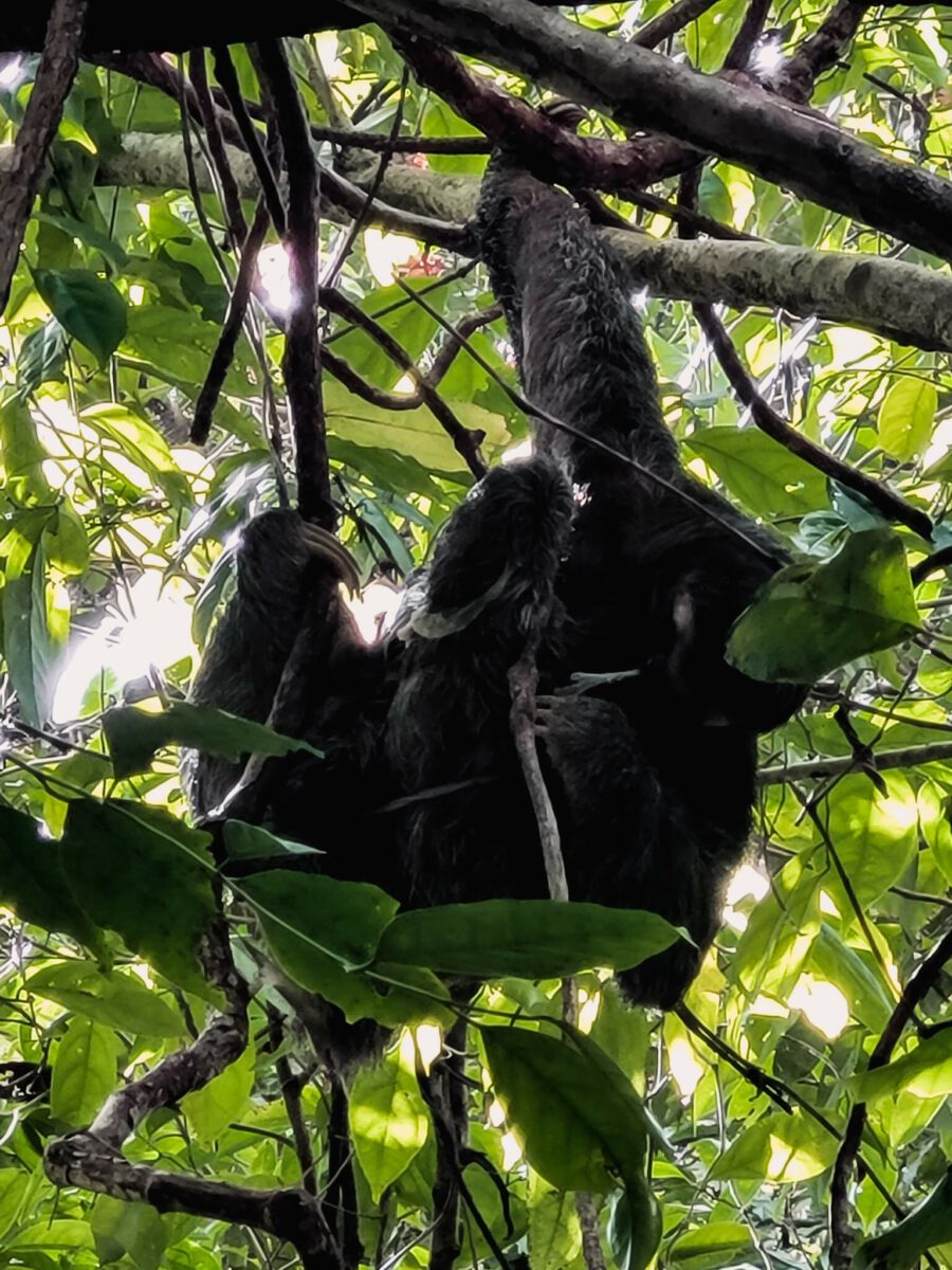 comment visiter le parc manuel antonio