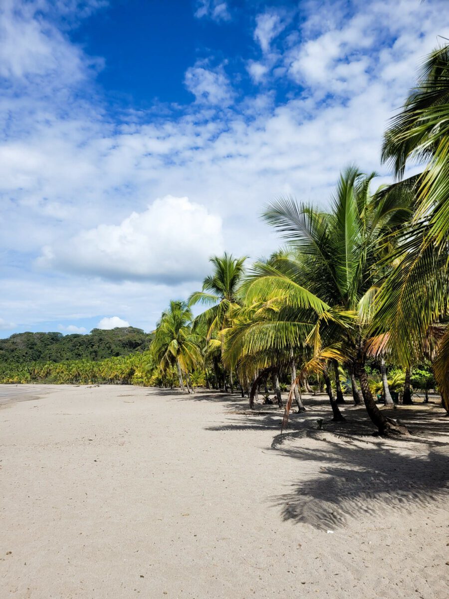 que faire a samara au costa rica