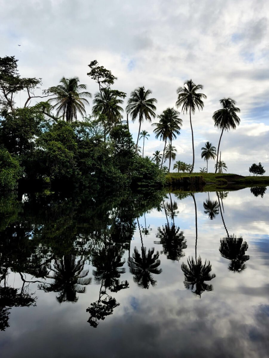 parc national de tortuguero
