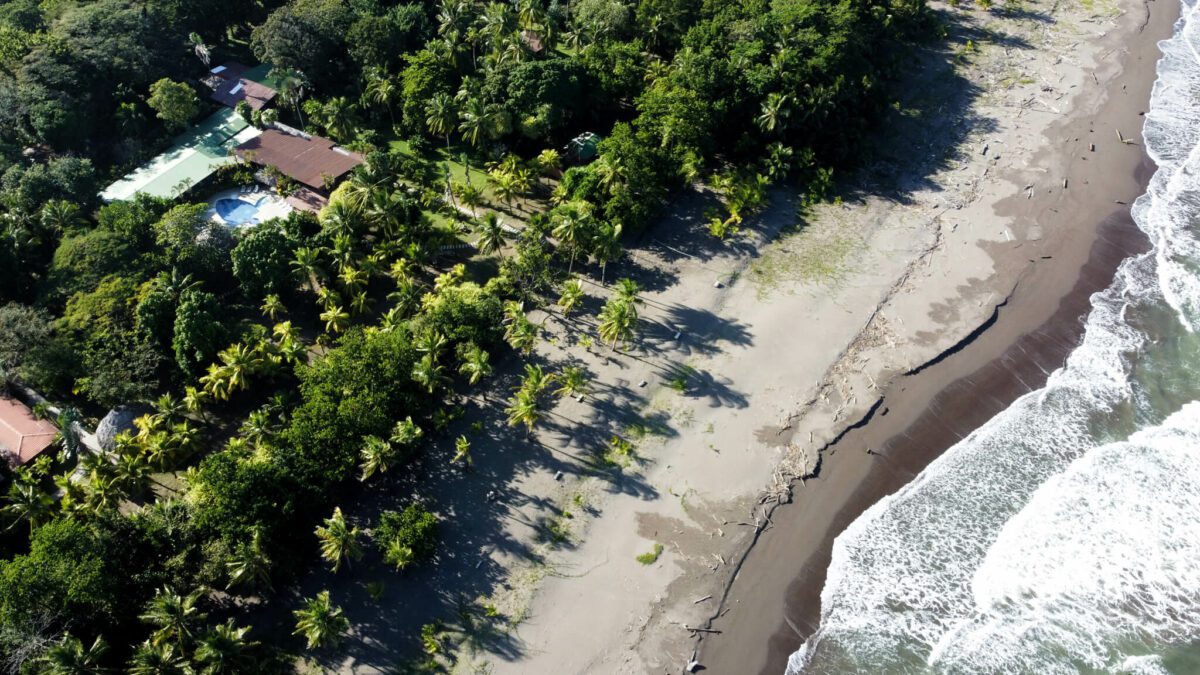 parc national tortuguero