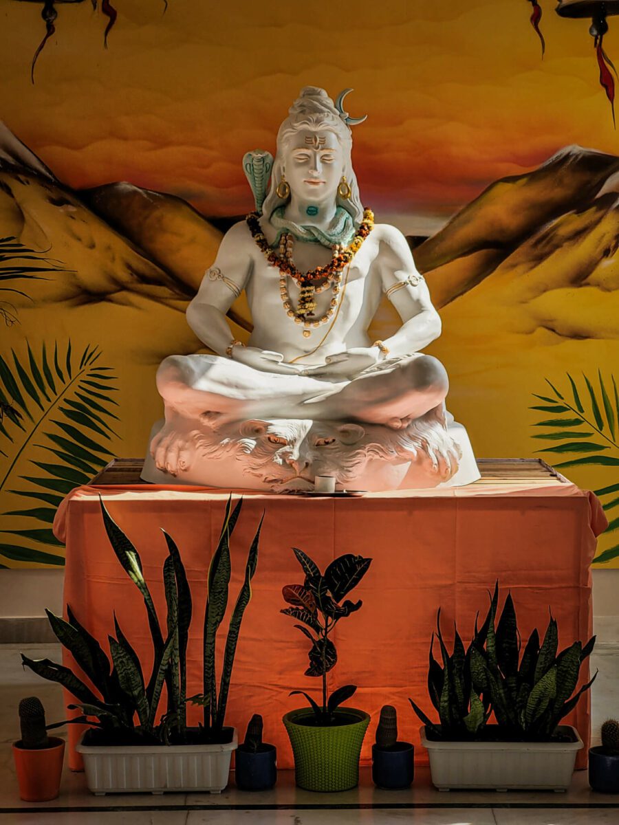 retraite de yoga en inde