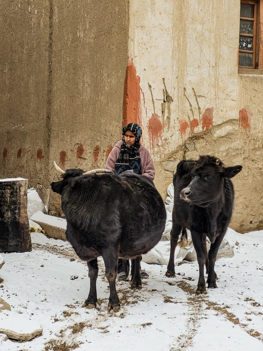 inde hors des sentiers battus