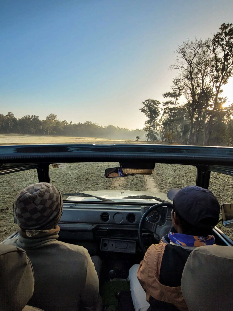 safari pour voir les tigres en inde