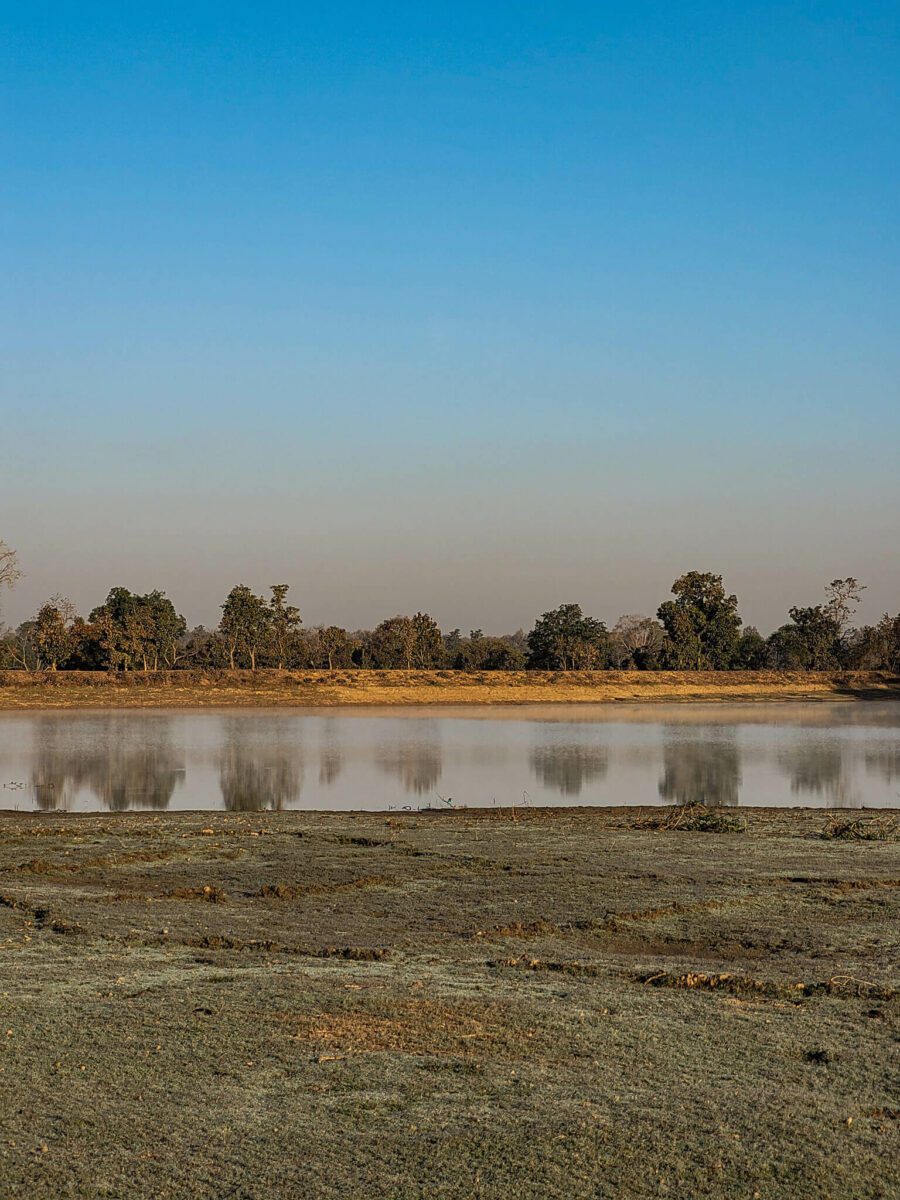 parc national de kanha inde