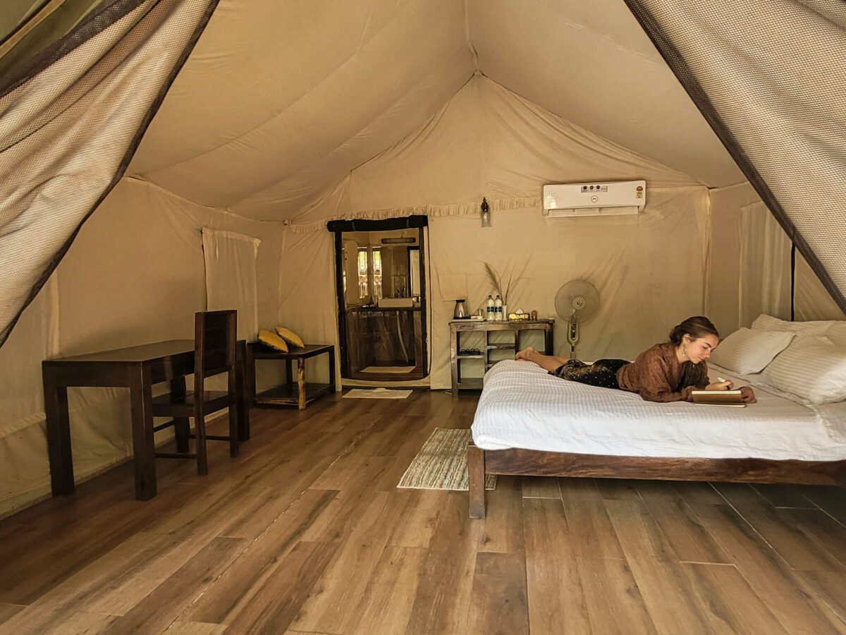 faire un safari en inde