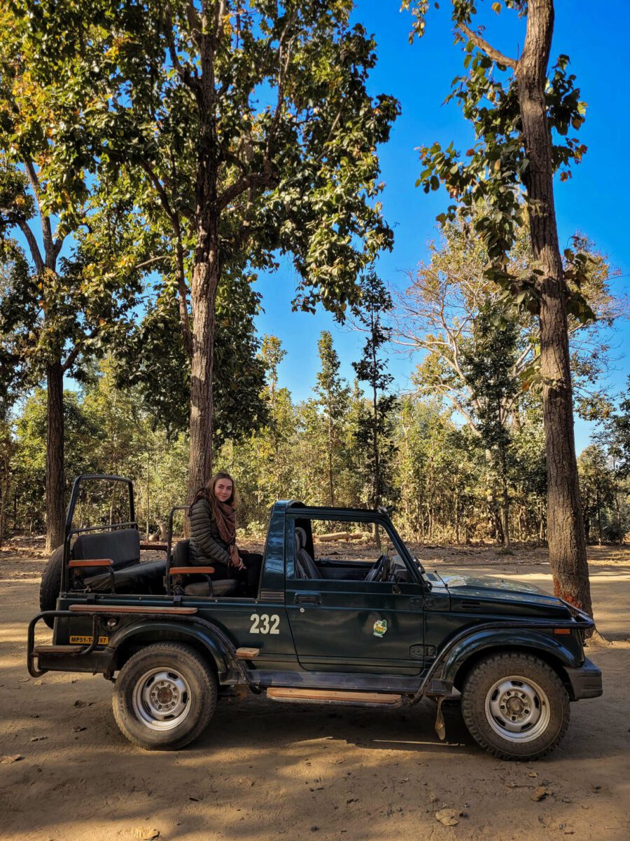 safari au parc national de kanha