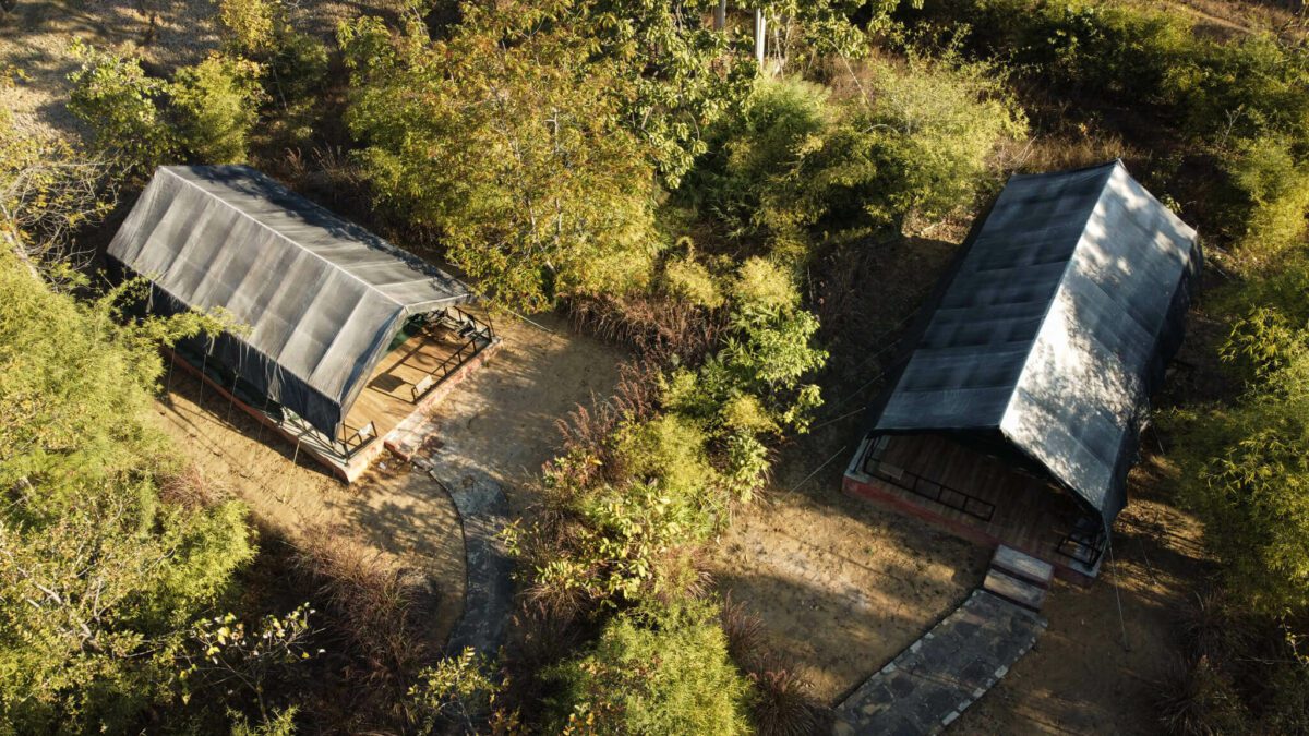 parc national de kanha inde