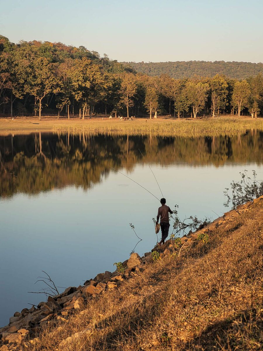 que faire dans le madhya pradesh