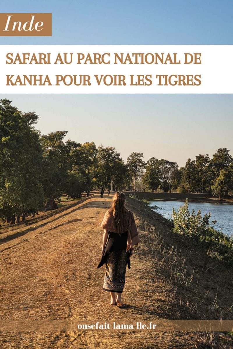 où voir les tigres en inde
